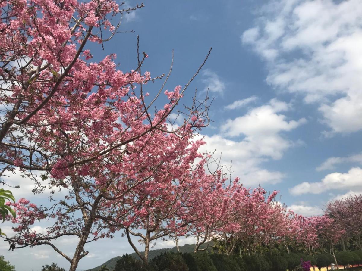 溪頭吉野民宿ji-Ye Lugu Bagian luar foto